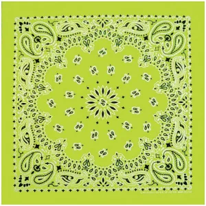 HI Vis Bandana