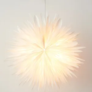 Stella Dalia White