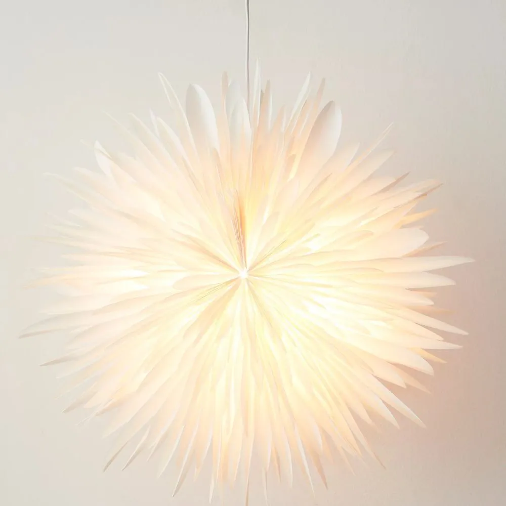 Stella Dalia White